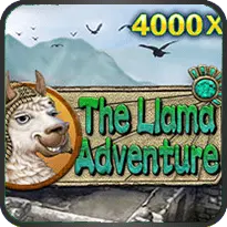 THE LLAMA ADVENTURE