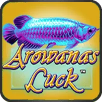 AROWANAS' LUCK